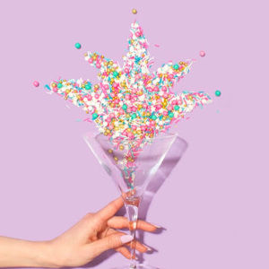 Meet your Posher, Alissa